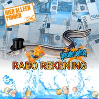 gladde paling - rabo rekening