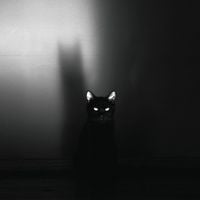 SIAMES - Melodramatic