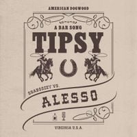 Alesso - A Bar Song (Tipsy) [Remix]