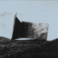 Flaer - Burrow