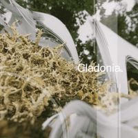 akaJazy - Cladonia
