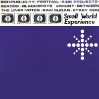 Small World Experience - Side Projects