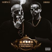 Berner - 100 Sources of Income