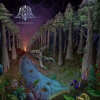 &AElig;theria Conscientia - The Blossoming