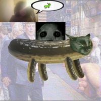 Lil John F Kennedy Was Killed By The C.I.A - pickle mode