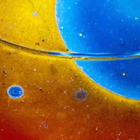 Jesse James Solomon - OIL☯WATER