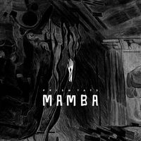 Gary V - Mamba