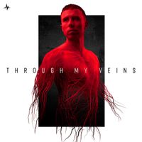 D-Sturb - Through My Veins