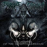 Orphalis - The Display of the Slightly Unknown