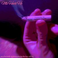 Ms. Heidi Ho - HALLUCIN0GENIC / DESTR0Y0URSELF