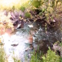 Born an Abomination - Meadow