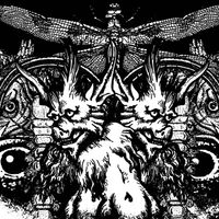 Early Graves - Goner