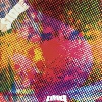 The Litter - $100 Fine