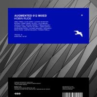 Hobin Rude - Augmented 012 / Hobin Rude