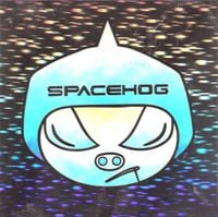 Spacehog - Was It Likely?