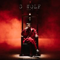 Flow G - G Wolf