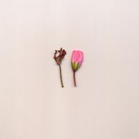 Kass Richards - New Love Meditation