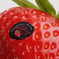 CHUU - Strawberry Rush