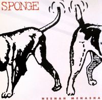 Sponge - Neenah Menasha