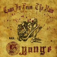 Sponge - Come In From the Rain