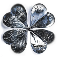 Cassyette - Four Leaf Clover