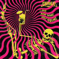 Zebrahead - I Have Mixed Drinks About Feelings