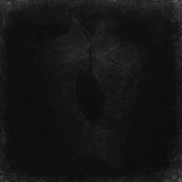 Leprous Vortex Sun - Шум небытия