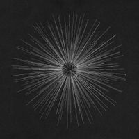 Renewer - fading