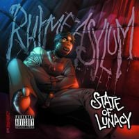 Rhyme Asylum - State of Lunacy