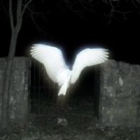 7777 の天使 - Life In Heaven