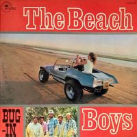 The Beach Boys - Bug-In