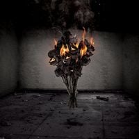 Within Reach - The Art of Skepticism