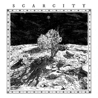 Scarcity - The Promise of Rain
