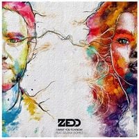 Zedd - I Want You to Know