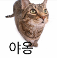 User-177606669 - miaosaga