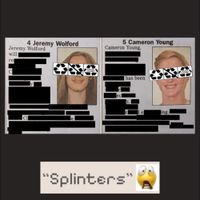 Reduce, Reuse, Remichael - Splinters (demo)