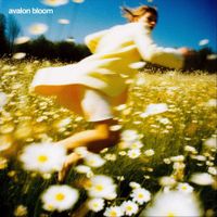 Avalon Bloom - Avalon Bloom