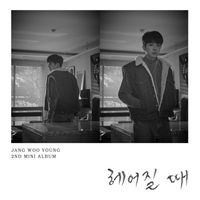 장우영 [Jang Wooyoung] - 헤어질 때