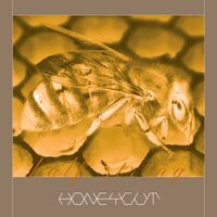 Half String - Honeycut