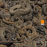 Tha God Fahim - Snakes