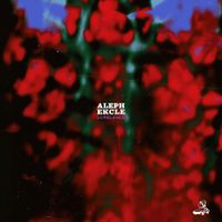 ALEPH - Semblance