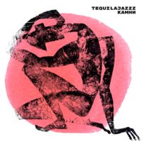 Tequilajazzz - Камни