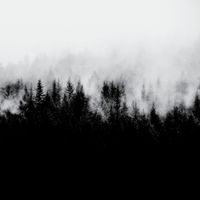 zak&egrave; - Veta