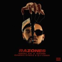 Ozuna - Razones