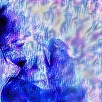 Lovers Entwined - The Light of Our Love