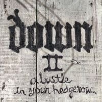 Down - Down II: A Bustle in Your Hedgerow