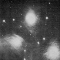 Grouper - A I A
