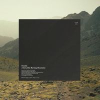 Oneida - A List of the Burning Mountains