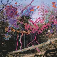 Animal Collective - Here Comes the Indian