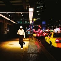 Buena Vista Social Club - At Carnegie Hall